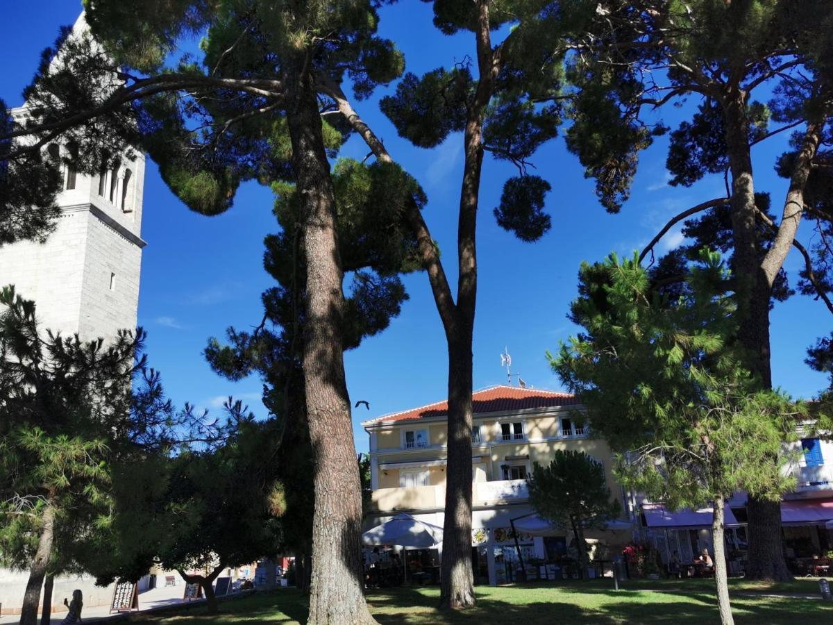 Emily Deluxe Superior 5 Star Studio Apartment, Your Piece Of Heaven With Sea & Park View Novigrad  Bagian luar foto