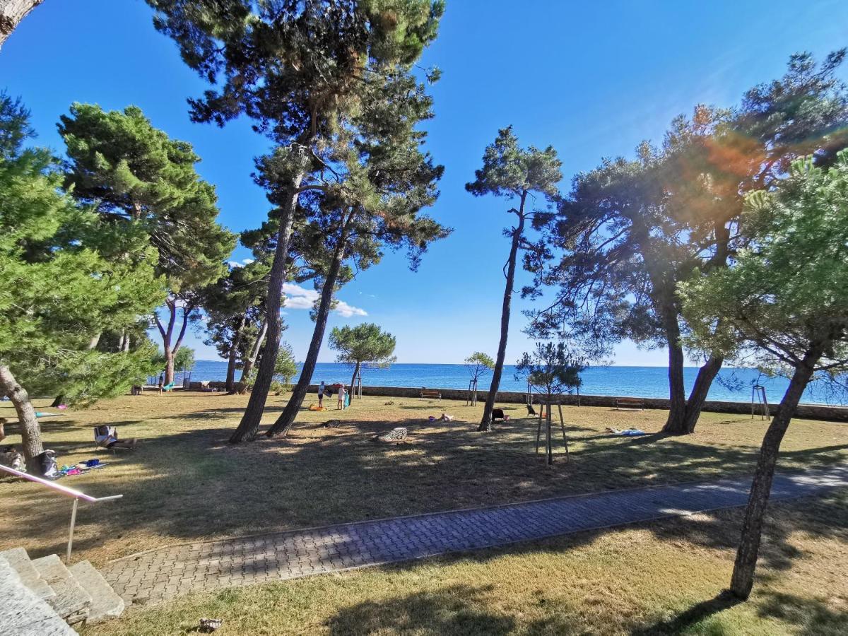 Emily Deluxe Superior 5 Star Studio Apartment, Your Piece Of Heaven With Sea & Park View Novigrad  Bagian luar foto